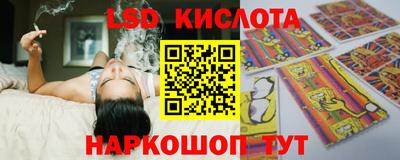 apvp Новодвинск