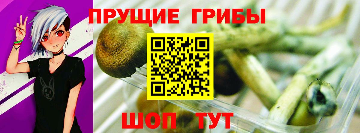 Симферополь  Псилоцибиновые грибы прущие грибы  Вход с VPN 